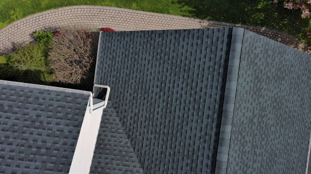 Best Skylight Installation and Repair  in Clara City, MN