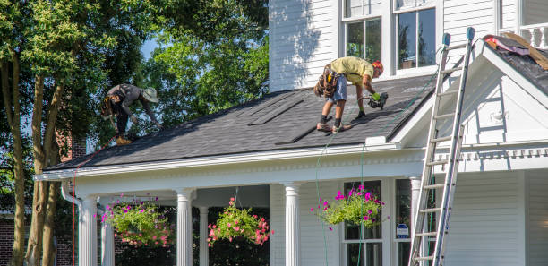 Best Roof Insulation Installation  in Clara City, MN